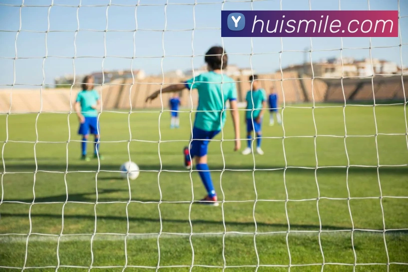 米乐m6服务体系